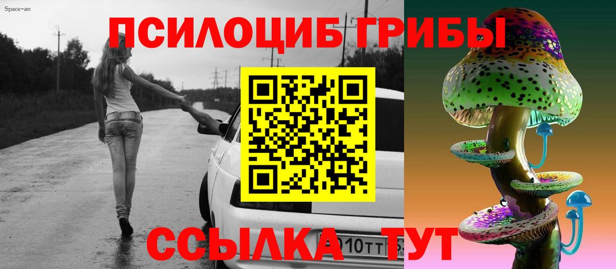 Камень-на-Оби  Галлюциногенные грибы Magic Shrooms  Галлюциногенные грибы MAGIC MUSHROOMS  Вход с VPN 