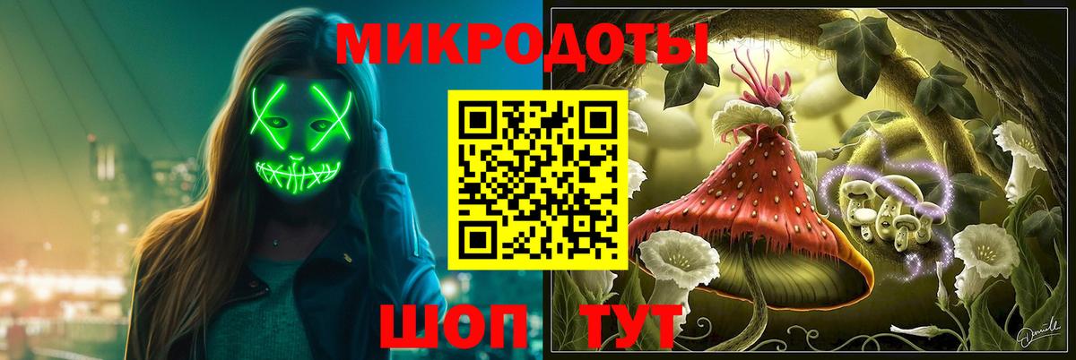 Галлюциногенные грибы Psilocybine cubensis Камень-на-Оби